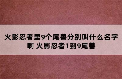 火影忍者里9个尾兽分别叫什么名字啊 火影忍者1到9尾兽